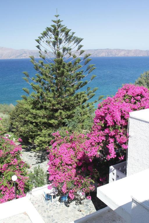 Delfini Apartments Кісамос Номер фото